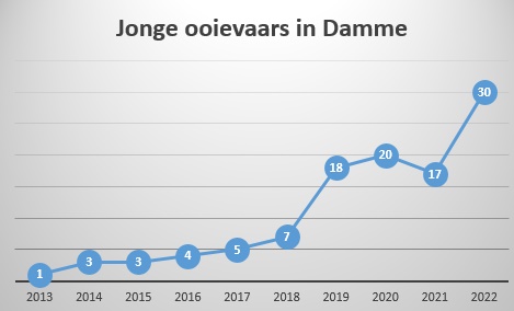 grafiek jonge ooievaars